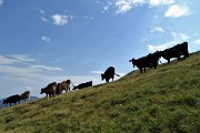 PONTERANICA CENTRALE (2372 m) in solitaria dai Piani dell'Avaro per i Laghetti di Ponteranica il 31 luglio 2017 - FOTOGALLERY